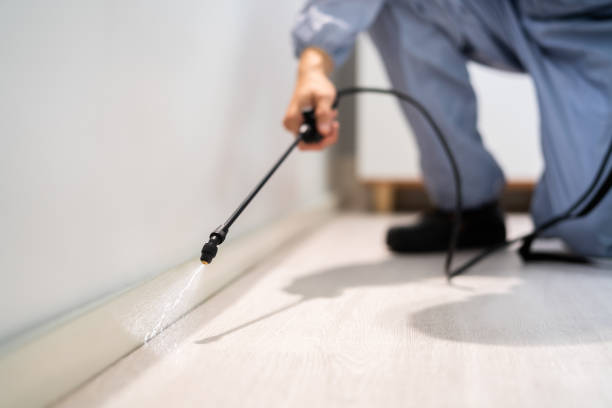 Licensed Termite Control service in Bixby, OK - Nex Pest Control
