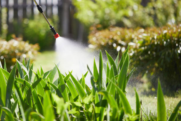 24/7 Emergency Termite Control experts in Bixby, OK