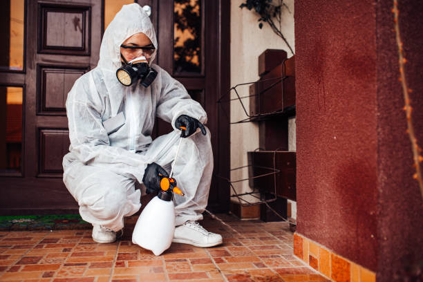 Reliable Termite Control contractor in Bixby, OK by Nex Pest Control