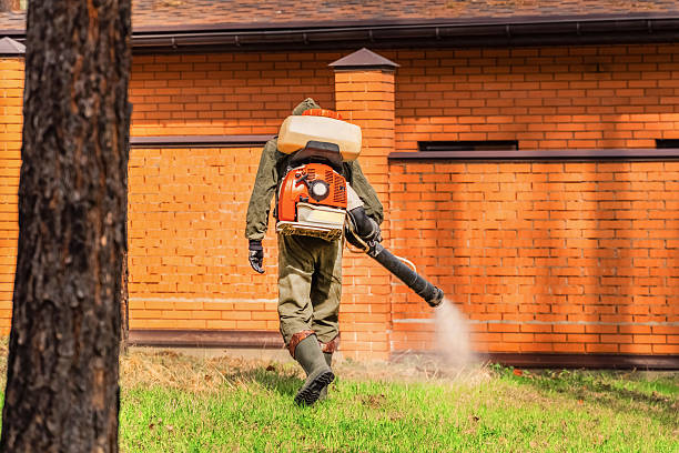 Top rated local Termite Control specialists in Bixby, OK